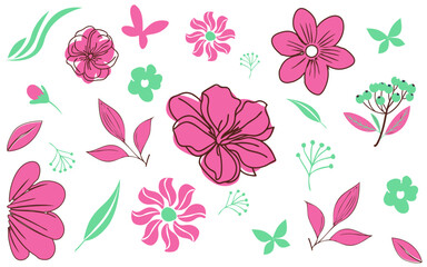 Modern Botanical Art &ndash; Pink Floral Elements on White Background, Soft and Elegant Botanical Line Art with Pink Hues