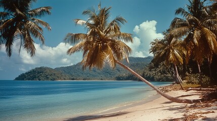 Tropical beach relaxation coastal paradise scenic landscape serene environment wide-angle view nature escape