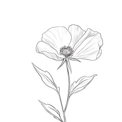 Fototapeta premium A flower with a stem and leaves