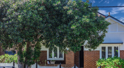 Old Federation Double Brick house in an inner western Sydney Suburb at beautiful colourful sunset NSW Australia