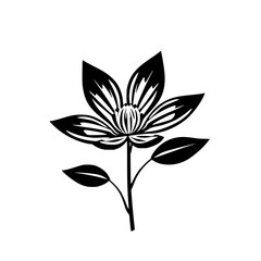 Black and white artistic flower design with black and white vector flower.