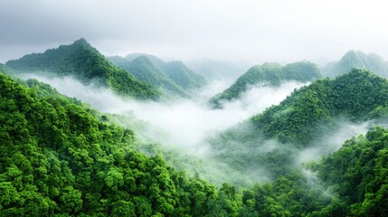 Obraz premium Misty green mountains, lush forest, tranquil landscape, nature background, travel poster