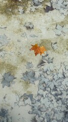 autumn leaves on water