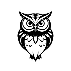 Black and White Owl: A simple, vector-style illustration of a front-facing owl with prominent eyes, featuring a minimalist and bold design.