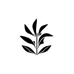 Monochrome minimalist botanical illustration featuring stylized plant with a white backdrop.