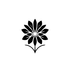 Bold, black daisy-like flower isolated on white background; symmetrical design, minimalist, clean.