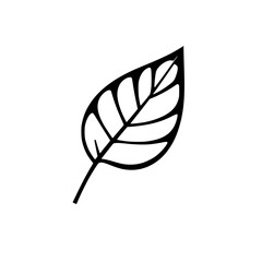 Black and White Minimalist Leaf on White Background