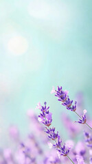 Fototapeta premium Lavender elegance in vertical composition for aromatherapy and decor