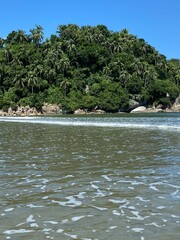 tropical beach in Brasil, São Vicente, São Paulo. 