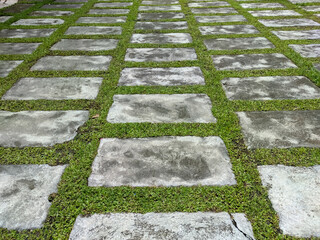 The landscape features a rectangular paving pattern composed of light gray cement blocks. These are meticulously arranged, with natural green grass flourishing in the interstitial spaces.