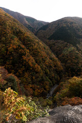 色付き始めた秋の渓谷