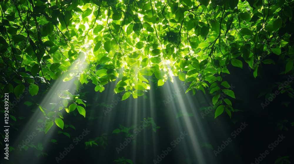 Poster sunlight filtering through lush greenery creating a serene nature scene