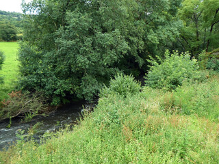 Furelos river with crystal clear water flowing in nature, green pastures, trees and ferns on spring day in Serra do Careón in Melide village, La Coruña, Galicia. 
