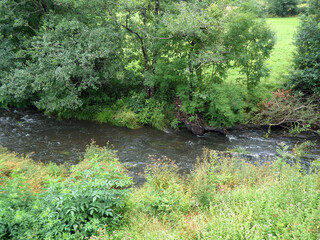 Furelos river with crystal clear water flowing in nature, green pastures, trees and ferns on spring day in Serra do Careón in Melide village, La Coruña, Galicia. 