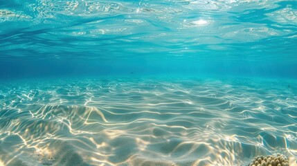 Underwater Serenity: A Glimpse into the Crystal Clear Ocean Depths