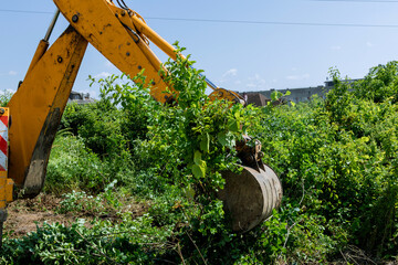 From bushes to tall trees, excavator is equipped to handle wide range of vegetation removal tasks.