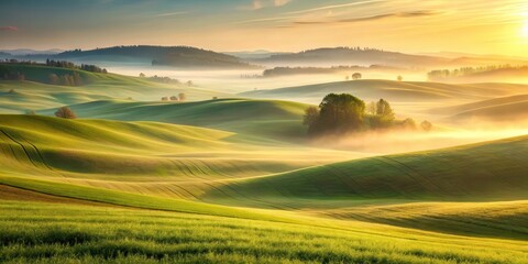 Fototapeta premium Serene Sunrise Over Rolling Green Hills, Bathed in Golden Light and Morning Mist