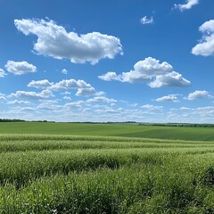 Vibrant green field stretching under a clear blue sky beautifully  
