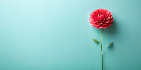 Fototapeta premium A Single Coral Bloom on a Light Aqua Background, a Perfect Representation of Simplicity and Elegance