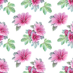 Watercolor seamless pattern with malva on white background. Spring pink flower with green leaves for wedding celebration card. Botanical summer art for wrapping wallpaper or sketchbook coloring book