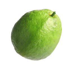 One fresh guava fruit isolated on white
