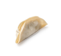Naklejka premium One fresh gyoza dumpling isolated on white