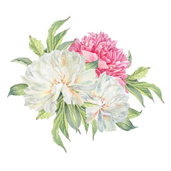 Watercolor bouquet with pink and white milk peony summer flower isolated on white background. Floral plant with leaves. Clipart for florist or wedding invite celebration card. Wallpaper or wrapping