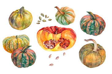 Set with watercolor cut orange and green pumpkin and seed isolated on white background. October autumn object for halloween sticker and card. Decor clipart for kitchen. Wallpaper or wrapping