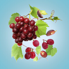 Fresh grapes in air on light blue background