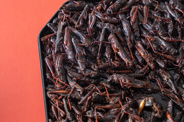 いなごの甘露煮 昆虫食