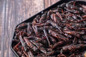 いなごの甘露煮 昆虫食