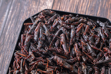 いなごの甘露煮 昆虫食