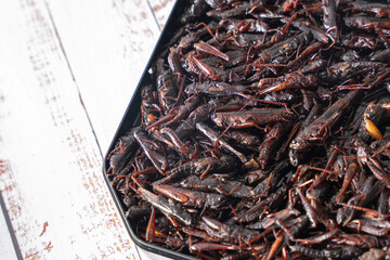 いなごの甘露煮 昆虫食