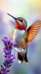 A vibrant hummingbird hovering near a purple flower, showcasing nature's beauty.