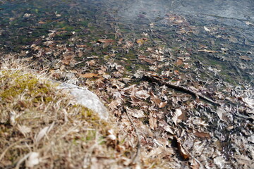 A cold winter morning strolling around public roads and frozen pond parks in Komagane City, Nagano Prefecture, Japan.