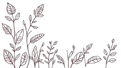 Elegant Line Drawing of a Lush Green Plant with Intricate Leaves Showcasing Natural Beauty and Growth