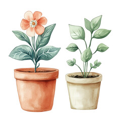 two potted plants one with a vibrant orange flower and lush green leaves in a terracotta pot. and another with smaller green leaves in a beige pot the illustration captures the beauty of nature and ca