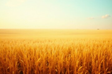 Naklejka premium Serene Golden Wheat Field at Sunset, a Peaceful Landscape of Nature's Bounty