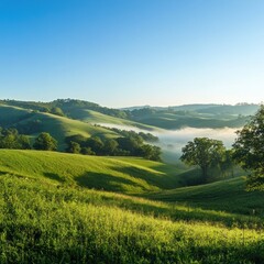 Obraz premium Lush rolling hills, morning mist, tranquil landscape