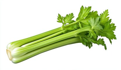 Fresh Green Celery Stalk with Vibrant Leaves on White Background