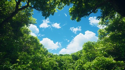 Bright Sunlight Through Lush Green Forest Canopy Against Blue Sky With Fluffy White Clouds