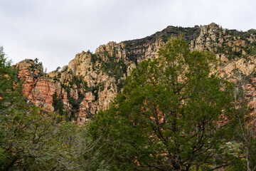 Red Rock Hillside with green trees Sedona Arizona