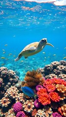  A sea turtle gracefully swimming above a colorful coral reef, with schools of tropical fish moving in crystal clear water beneath