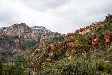 Red Rock Hillside with green trees Sedona Arizona