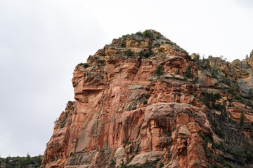 Red Rock Hillside with green trees Sedona Arizona
