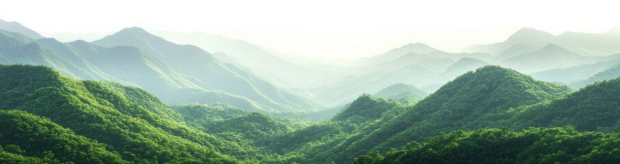 Fototapeta premium Misty Green Mountain Range Panorama