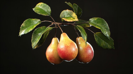 green pears with green leaves