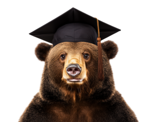 Proud bear wearing graduation cap, looking goofy and cheerful. This captures fun and whimsical moment, perfect for celebrating achievements