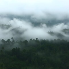  Fog and Clouds Hovering Over a Dense Forest, Creating a Mystical Mood
