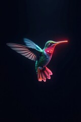 Obraz premium A Vibrant Hummingbird in Flight Against a Dark Background, Its Feathers Glowing with an Ethereal Luminescence
